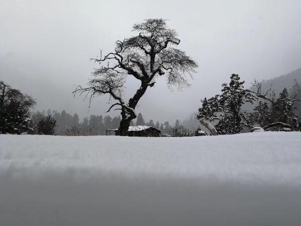 最大范围暴雪锁定四省，紫色大暴雪区出现！预报：南方持续偏冷